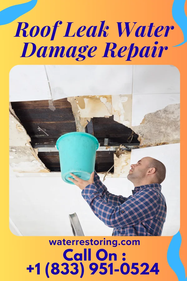 Roof Leak Water Damage Repair in Hackneyville, AL